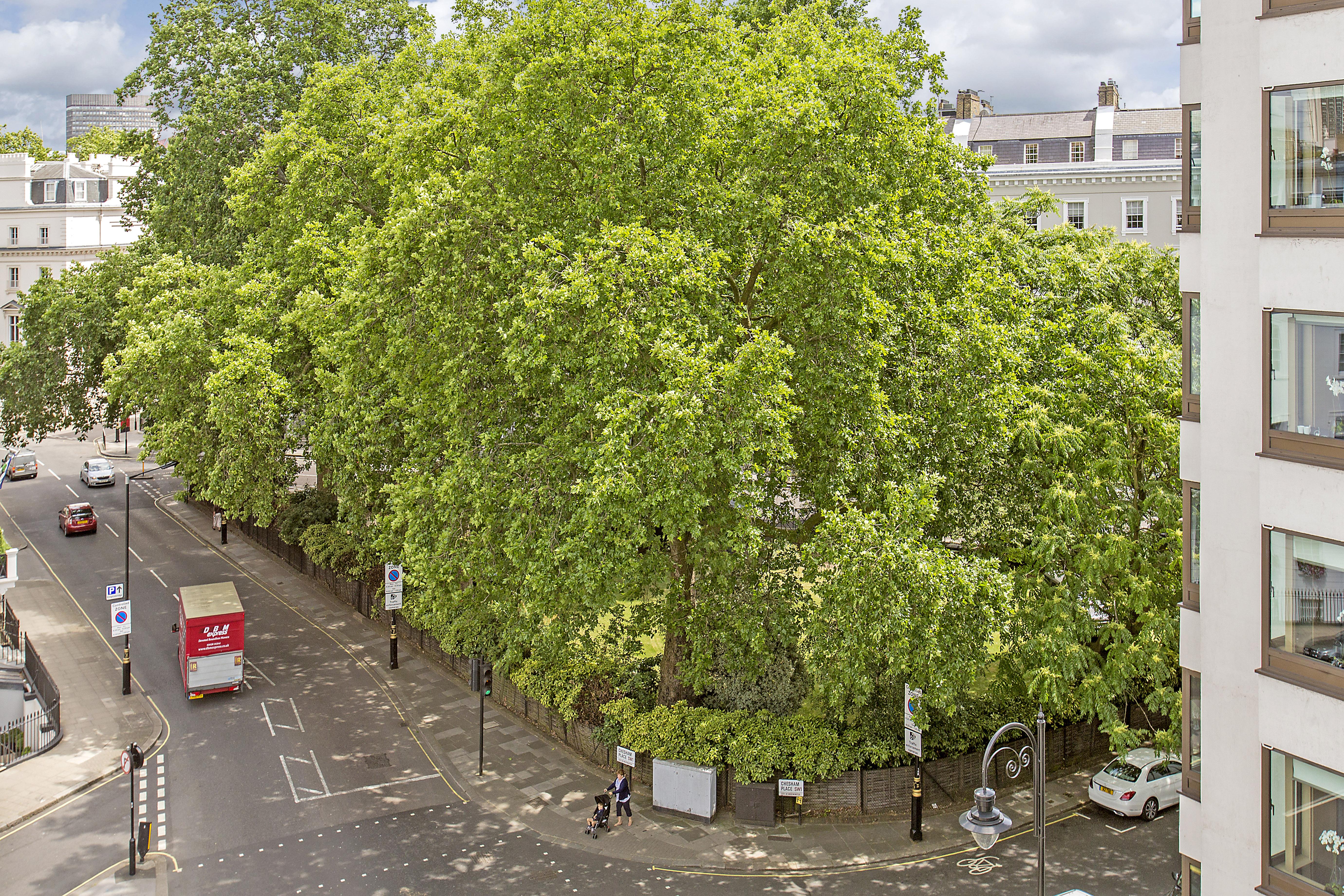 Chesham Court Knightsbridge Aparthotel London Kültér fotó